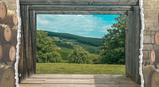 Când începe sezonul 4 Wine Trips România | Show-ul care promovează cramele din România va fi pe PROTV.RO și VOYO