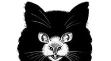 Care este primul animal pe care îl vezi în imagine? Iluzia optică virală care dezvăluie dacă ești egocentric sau altruist