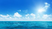 Cunoaște eroii oceanelor - oameni care salvează această sursă a vieții