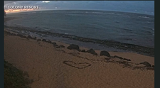 Momentul înfricoșător când apele se retrag de pe plajele din Hawaii, semn că urmează un tsunami. Scenele par desprinse din filme VIDEO