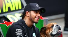 Câinele lui Lewis Hamilton, Roscoe, a murit. Pilotul de Formula 1 este distrus de durere: „Mi-am pierdut cel mai bun prieten”