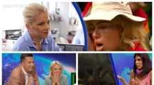 Cum au reacționat vedetele PRO TV la momentele din Sunt celebru, scoate-mă de aici: „Îmi e milă de ele!”