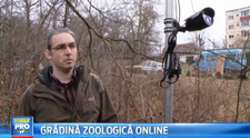 Prima gradina zoologica online din Romania. Ideea unui tanar pentru ca animalele sa nu mai fie admirate de dupa gratii
