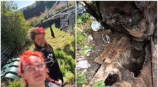 „E un mister”. Descoperirea șocantă făcută de un cuplu în curtea casei lor! Imaginile au adunat peste două milioane de vizualizări