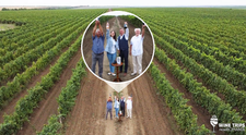 Wine Trips from România | Domeniile Davidescu, vinuri din lunca Prutului de Jos, areal protejat UNESCO