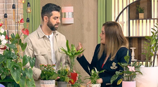 Cum readucem la viață plantele afectate? Specialistul ne explică