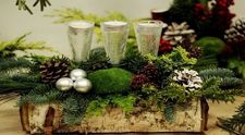 (P) Alege să dăruiești cutii cu flori deosebite de Crăciun