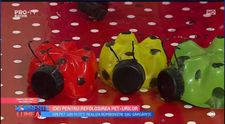VIDEO Idei pentru refolosirea pet-urilor