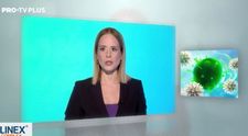 Cum se diferențiază prebioticele și ce înseamnă aportul de fibre vegetale pentru reglarea tranzitului intestinal?