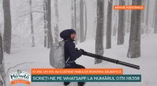 10 ani: un vis. Au ilustrat fabulos România sălbatică: cine sunt cei doi bărbați care au lucrat la acest proiect