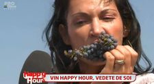 Vinul ca un viciu, cand e facut la Happy Hour. <span style=