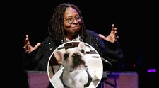 Whoopi Goldberg își însoară câinele cu o „englezoaică” get-beget. Actrița face petrecere mare