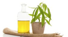 (P) Ce efecte poate avea un tratament cu ulei CBD asupra sistemului endocannabinoid?