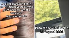 VIDEO Incident grav într-un tren CFR: Un geam a căzut în capul unor pasageri. Printre răniți se numără și doi copii