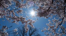 Cum va fi vremea de Paște. Meteorologii ANM au publicat prognoza meteo actualizată