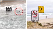 Momentul în care un surfer salvează un adolescent din colții unui rechin a fost filmat. Ce-au surprins camerele de supraveghere