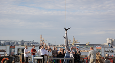 Concurenții trebuie să gătească un enorm pește-spadă, pentru 50 de marinari militari! Cine sunt cei doi căpitani de echipă și pe cine aleg. ”Să fie război!”. Surpriza serii: trebuie să-și facă singuri meniurile