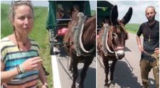 Francezii care călătoresc prin lume într-o căruță cu măgar, despre România: ”Oamenii sunt minunați”