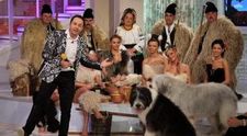 De ziua sa, ProTv a fost lider absolut de audienta FOTO