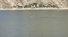 „Fratele” monstrului din Loch Ness, văzut într-un lac, în China: „O creatură lungă, argintie”