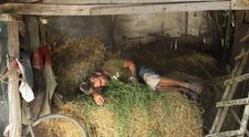 Vezi o super galerie cu cele mai tari poze din LAS FIERBINTI. Vezi aici episodul pilot