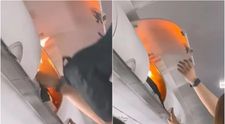 Momente de panică la bordul unui avion. O baterie portabilă a explodat în compartimentul de bagaje. Ce au surprins pasagerii VIDEO