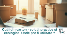 Cutii din carton - soluții practice și ecologice. Unde pot fi utilizate?
