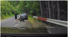 Scene tensionate pe Transfăgărășan: un turist, la un pas de a fi atacat de urs