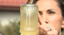 Află totul despre miere de la un apicultor de trei generații! E un mit că devine toxică în contact cu apa fierbinte? Cum ne dăm seama că are zahăr adăugat și ce beneficii are