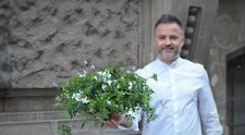 Nicu Bocancea celebrează Sărbătoarea Floriilor prin construcții florale urbane