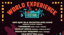 Cluj-Napoca este în premieră gazda celei de-a cincea ediții a World Experience Festival