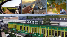 Wine Trips România | Acasă la vinul de Cotnari, unul dintre cele mai apreciate branduri românești