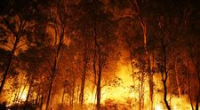 Un nou incendiu devastator în Grecia, sesizat de pompierii români! Locuințele au fost cuprinse de flăcări