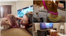 Văcuța care se crede om: stă în sufragerie, mănâncă floricele și se uită la filme: “Am trăit s-o văd și p-asta!”