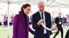 Ducesa de Cambridge și tarantula. Kate Middleton, gest curajos în timpul unei vizite la Universitatea Ulser 
