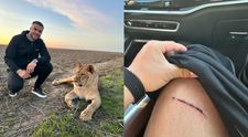 Culiță Sterp a fost atacat de un leu. Artistul a rămas cu o „amintire” dureroasă în urma incidentului: „Îmi plac senzațiile tari”