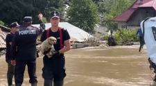 Imagine emoţionantă surprinsă la Broşteni, Suceava, în timpul inundaţiilor. Un pompier a scos din apă un cățel