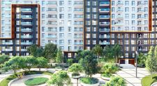 Inventarierea spațiilor verzi, prevăzută în noul Cod al urbanismului, un subiect spinos