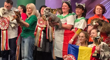 O pisică din România a fost desemnată cea mai frumoasă din Europa. Cum arată Kira Kiralina, supranumită  „ursoaica din Bucovina”