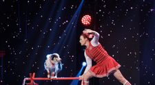 Jennifer Fraser și Chardonnay, cățelul de Cartea Recordurilor, au cucerit în unanimitate juriul de la Românii au talent! Andi: „Absolut superb! Vreau să vă aduc aminte că-n sezonul 3 un dresor și câinii lui au câștigat premiul cel mare”