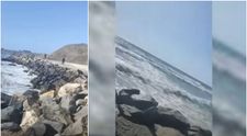 Mesajul primarului din Costinești, după explozia unei mine marine, în fața hotelului Forum: ”Doamne ajută!”
