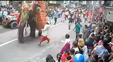 Momentul șocant când un elefant o ia razna la un festival și se năpustește în mulțime. ”A fost nevoie de două femele elefant pentru a-l potoli”