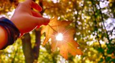Prognoza meteo: Vremea va fi instabilă
