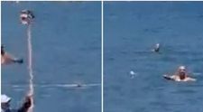 În Turcia, un bărbat a alungat un ”rechin” de pe o plajă aglomerată, lovindu-l cu un mop în cap