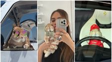 Faceți cunoștintă cu Reesy, iepurașul influencer cu aproape 1 milion de urmăritori și o garderobă de peste 10.000 de dolari