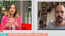 Ce vor să ne transmită animalele prin comportamentul lor. Iată răspunsurile lui Vlad Vancica, psiholog canin