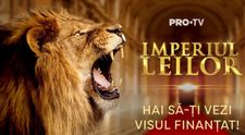 IMPERIUL LEILOR investește în tine. Tu?
