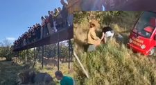 „Acest om este un erou”. Un vizitator al parcului Taigan a sărit în țarcul cu lei pentru a-l ajuta pe directorul atacat