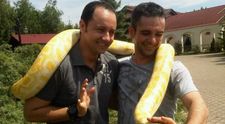 Catalin Maruta s-a pomenit cu un piton de 30 de kilograme pe umeri! Afla AICI de ce!