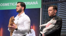 VIDEO CatShop, centrul spa pentru pisicile răsfățate. Cine va investi în afacerea lui Radu și a lui Dragoș?